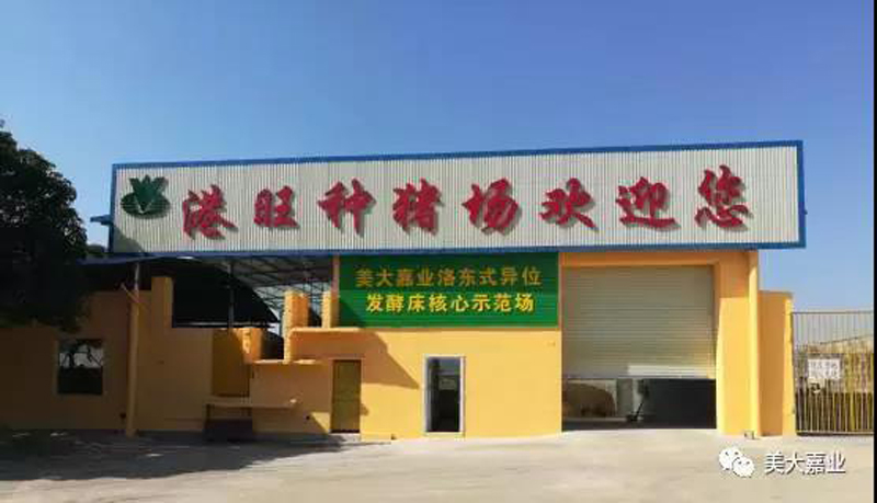 广西养猪协会和贵港市畜牧局领导参观港旺公司 福建hg8868体育网异位发酵床工程